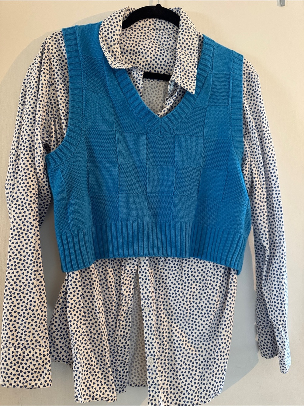 BUNDLE! Blue Knit V-Neck Cropped Sweater Vest and white and blue collared shirt